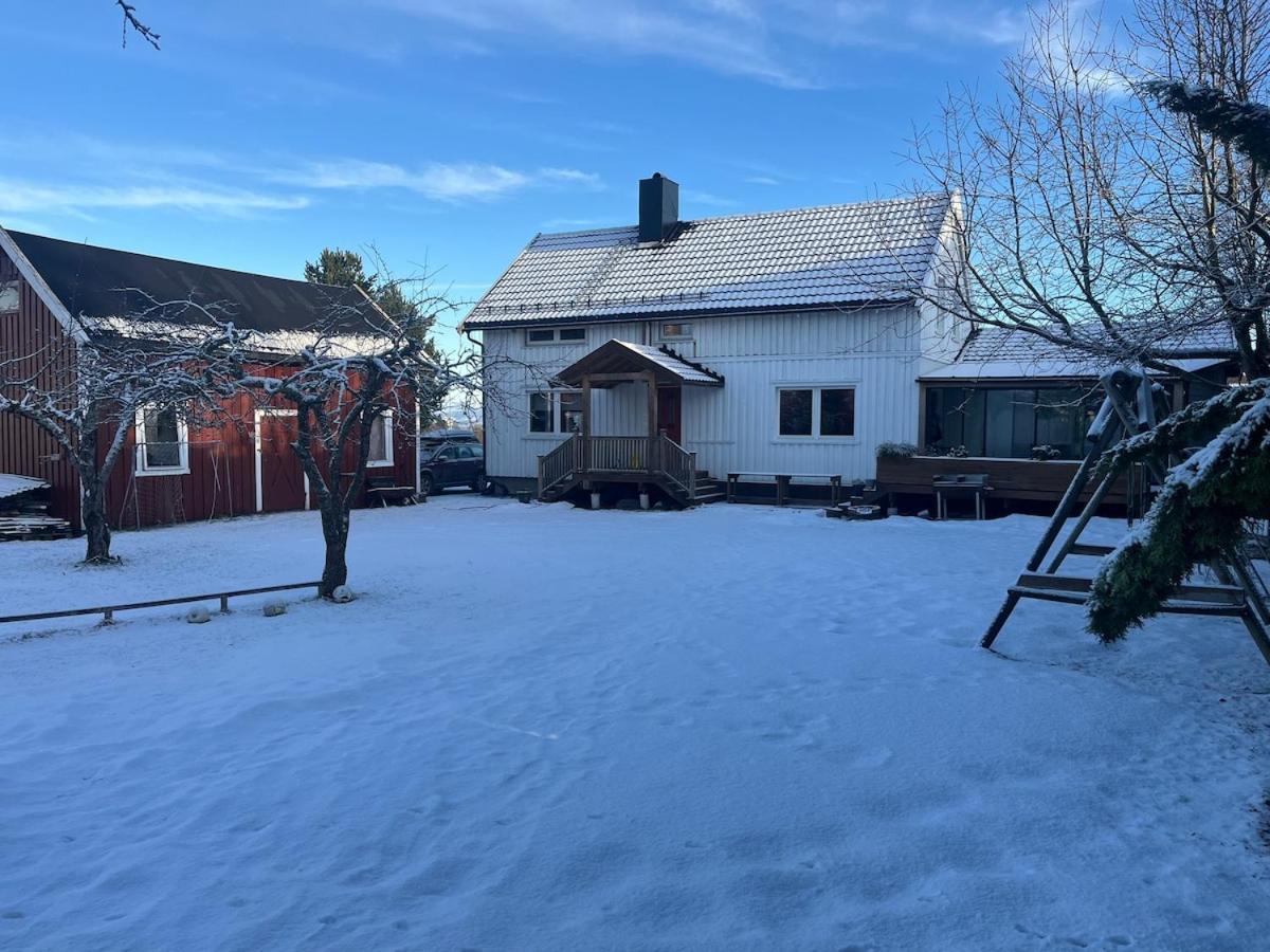 Older Villa With Large Garden Trondheim Zewnętrze zdjęcie
