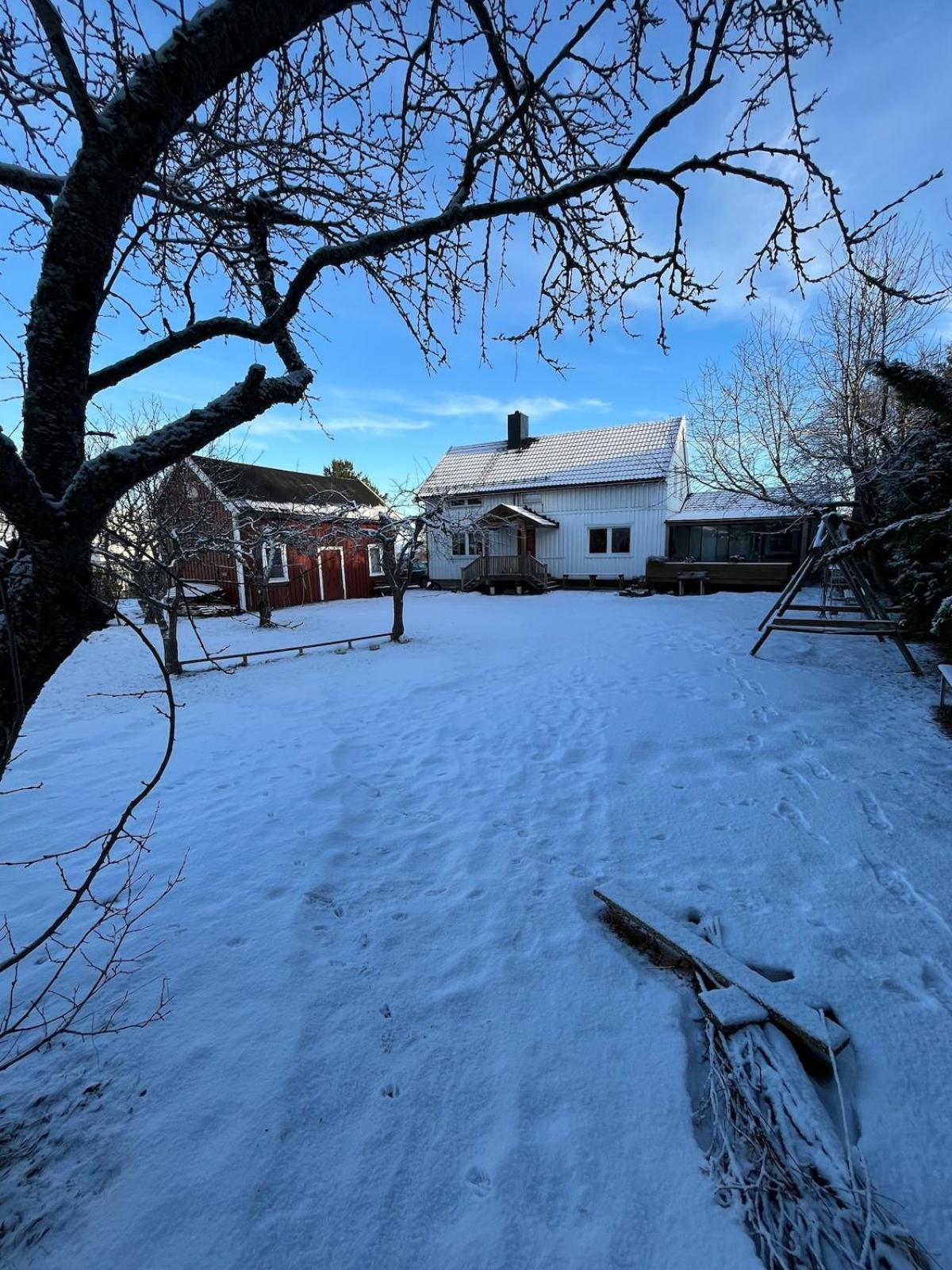 Older Villa With Large Garden Trondheim Zewnętrze zdjęcie